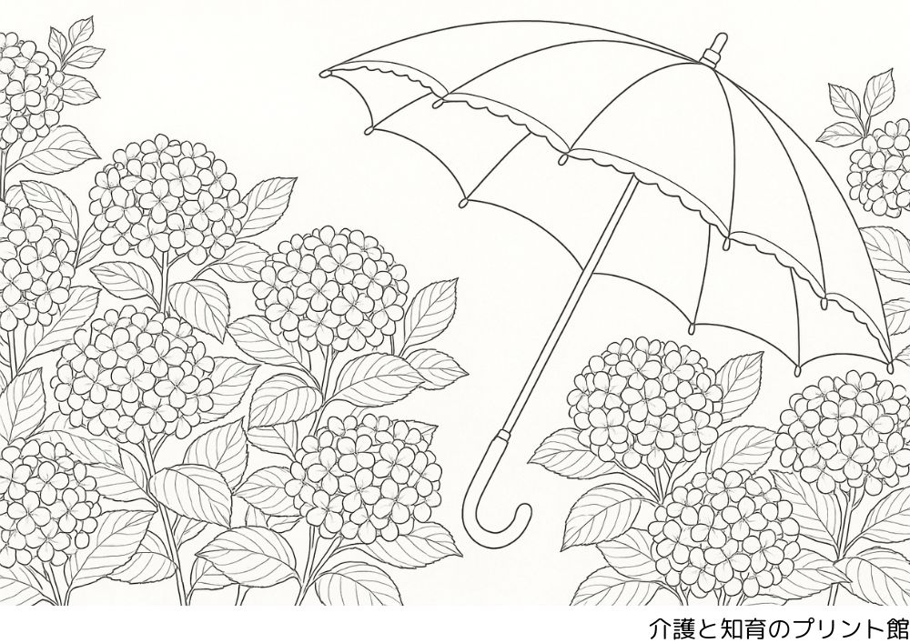 6月の塗り絵、カサとアジサイ