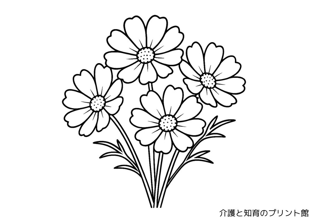 シンプルに描かれたコスモス(秋桜)の花が4本集まった簡単な介護向け塗り絵