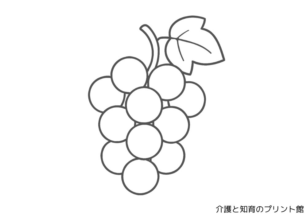 9月の秋の季節にピッタリなシンプルなブドウの房が描かれた高齢者向けの簡単な塗り絵