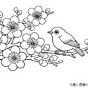 【高齢者向け塗り絵】梅とメジロ|春を感じるやさしい無料プリント