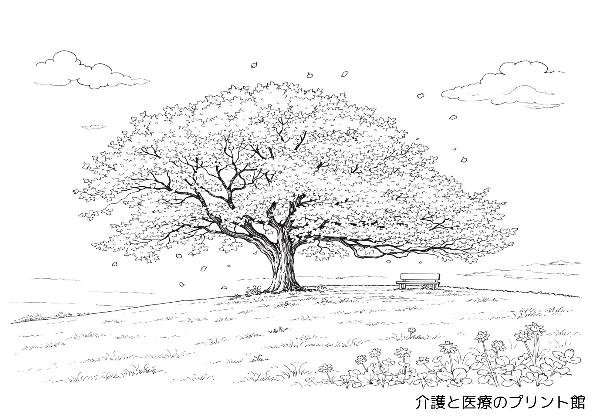 高齢者向けの桜の木の塗り絵無料プリント。丘の上に大きく広がる桜の木とベンチ、草花、舞う花びらが描かれた春らしい線画。