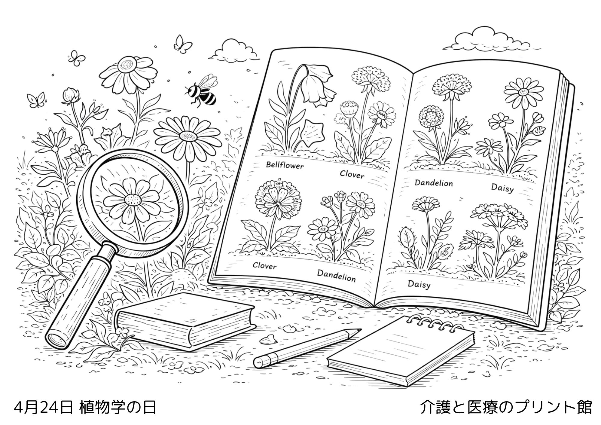 4月24日植物学の日の塗り絵 花や植物 自然のやさしい風景 高齢者向け無料塗り絵
