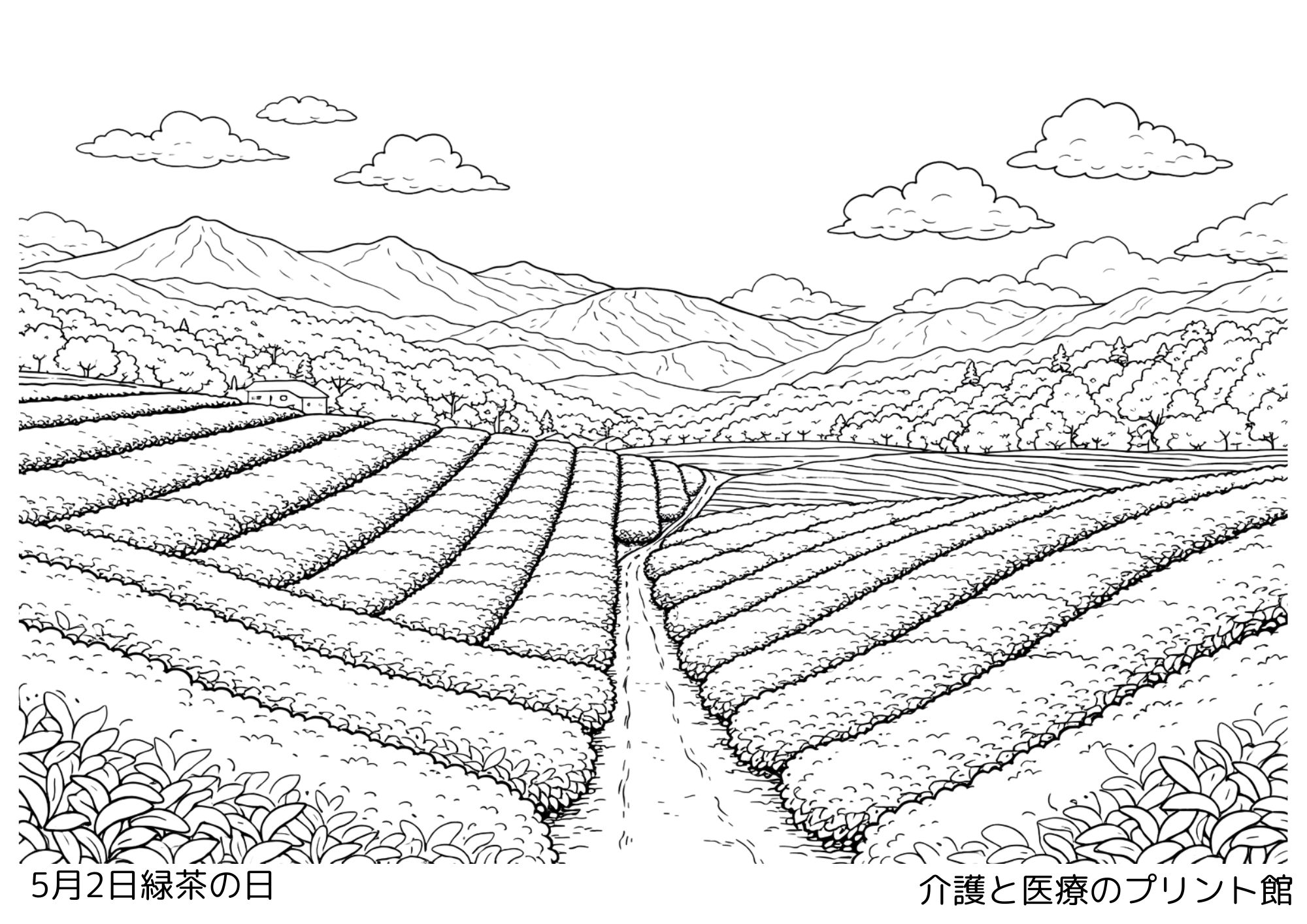 5月2日緑茶の日の塗り絵 茶畑と急須と湯のみ 高齢者向け無料塗り絵