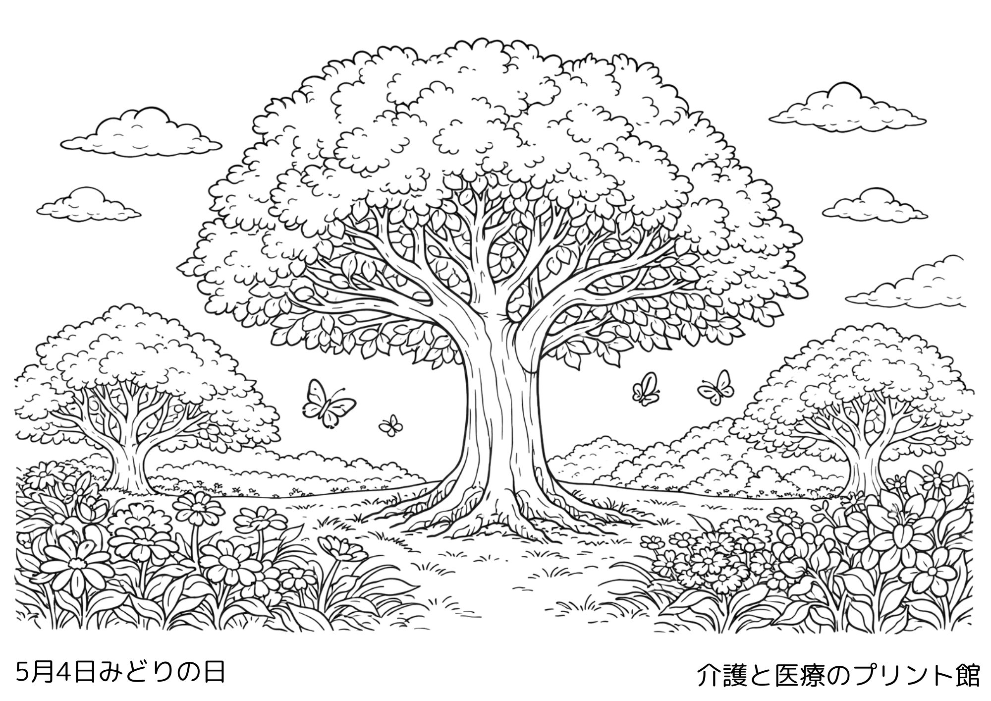 5月4日 みどりの日の塗り絵｜由来と意味を解説・高齢者レクにおすすめ