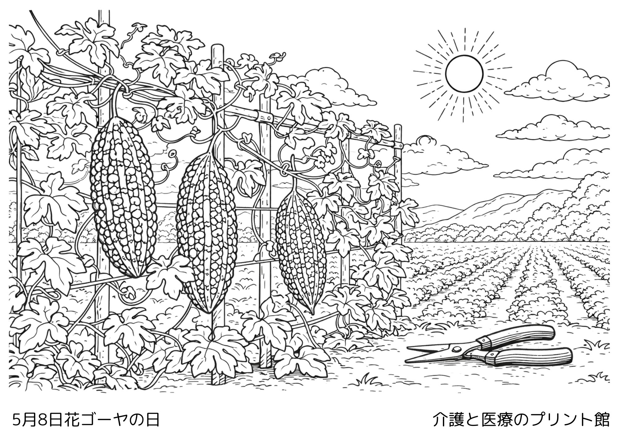 5月8日ゴーヤーの日の塗り絵 ゴーヤーと畑の風景 高齢者向け無料塗り絵レクリエーション