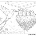 燕(つばめ)の子育て、高齢者向け無料塗り絵【春の風景・介護レク】