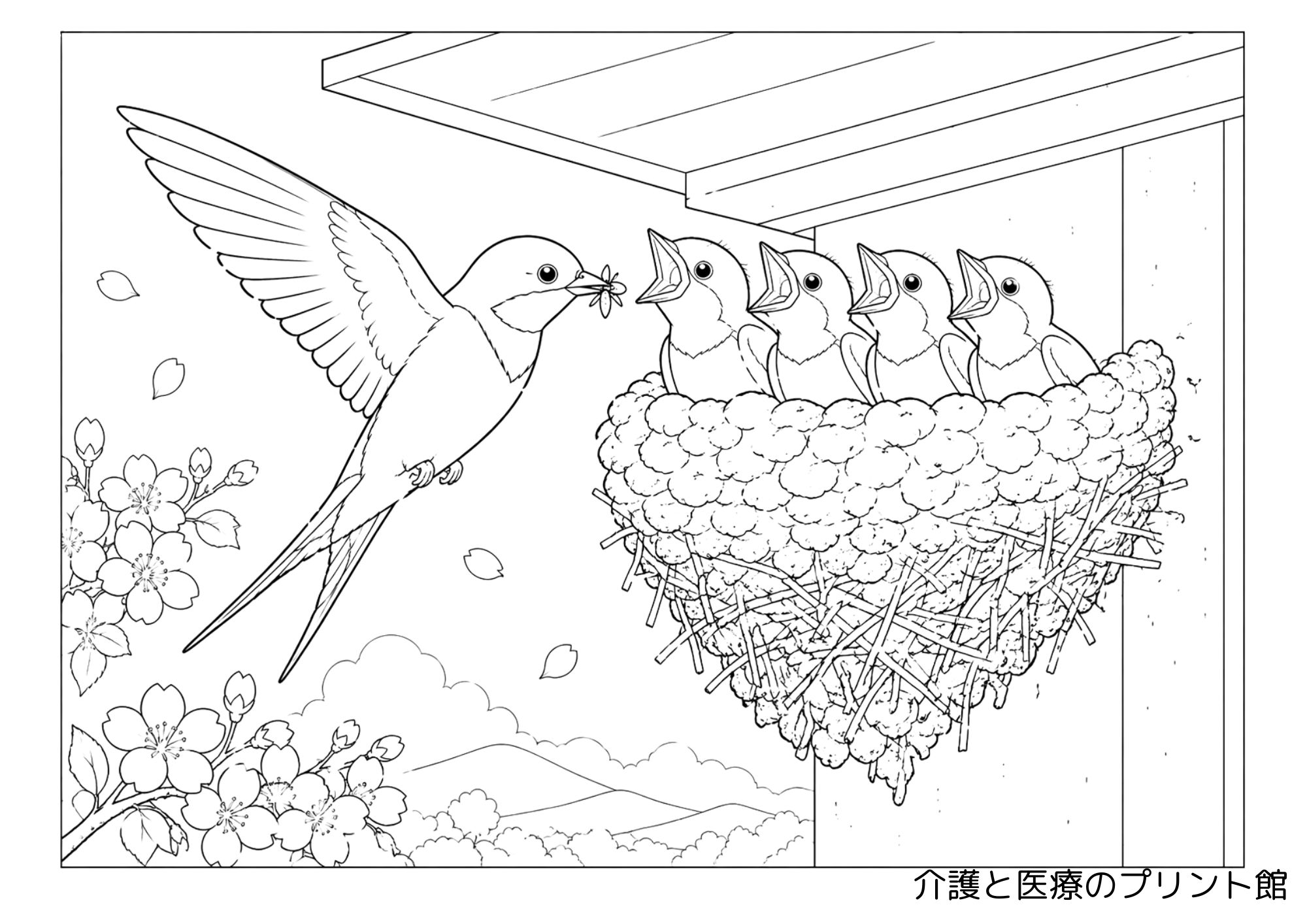 ツバメの親鳥が巣のヒナにエサを与える春の子育てシーンの高齢者向け無料塗り絵
