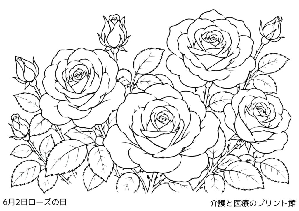 6月2日ローズの日の高齢者向け無料塗り絵。大きく咲いたバラの花、つぼみ、葉を描いた白黒線画。