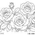 6月2日ローズの日高齢者向け無料塗り絵【今日は何の日？】