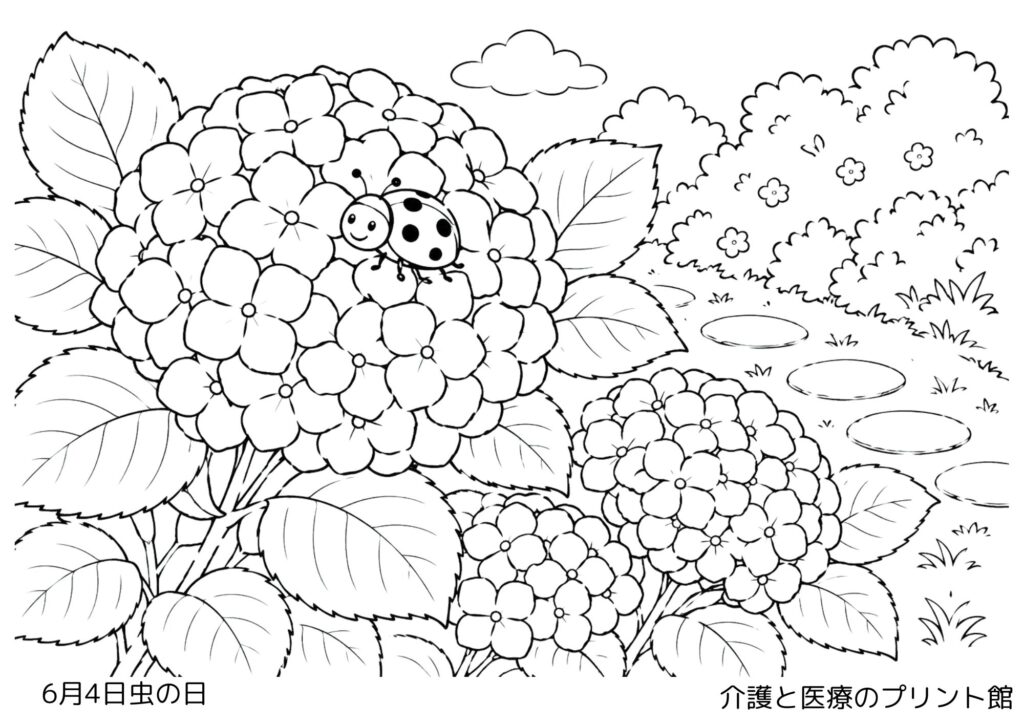 6月4日虫の日の高齢者向け無料塗り絵。あじさいの花と葉の上にとまるかわいいてんとう虫を描いた白黒線画。