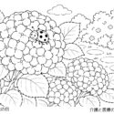 6月4日虫の日高齢者向け無料塗り絵【今日は何の日？】