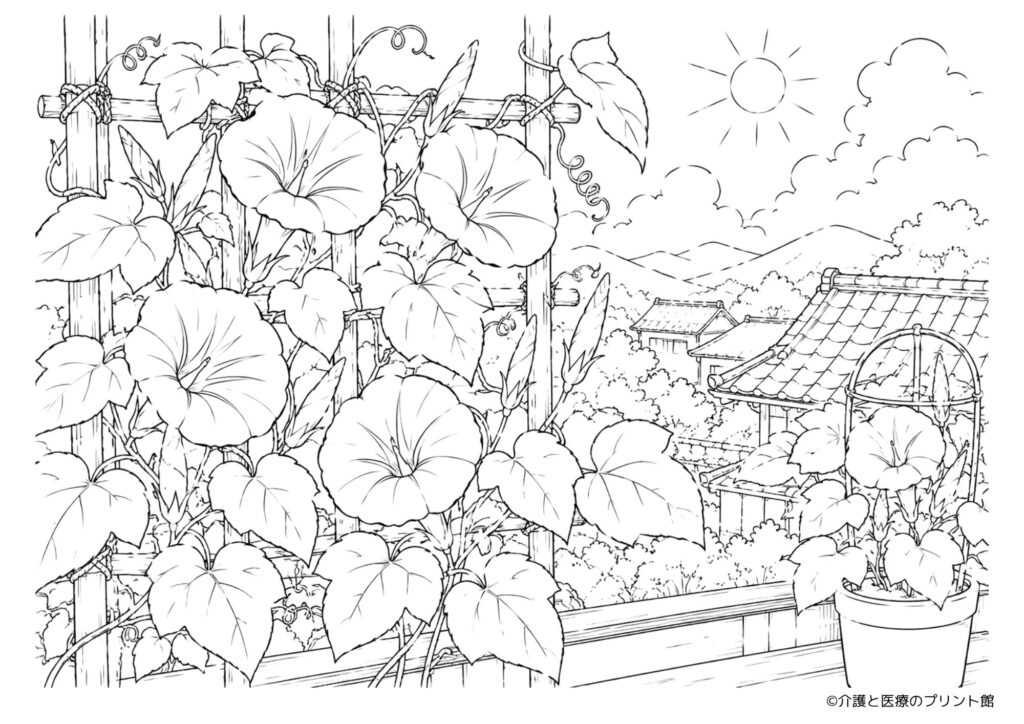 朝顔(アサガオ)棚に咲く朝顔と日本の夏の風景を描いた高齢者向け塗り絵