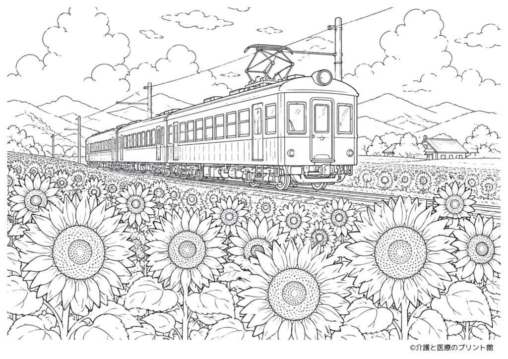 ひまわり畑の中を昔の電車が走る夏の高齢者向け塗り絵