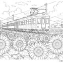 夏のひまわり畑と昔の電車の塗り絵｜高齢者向け無料プリント
