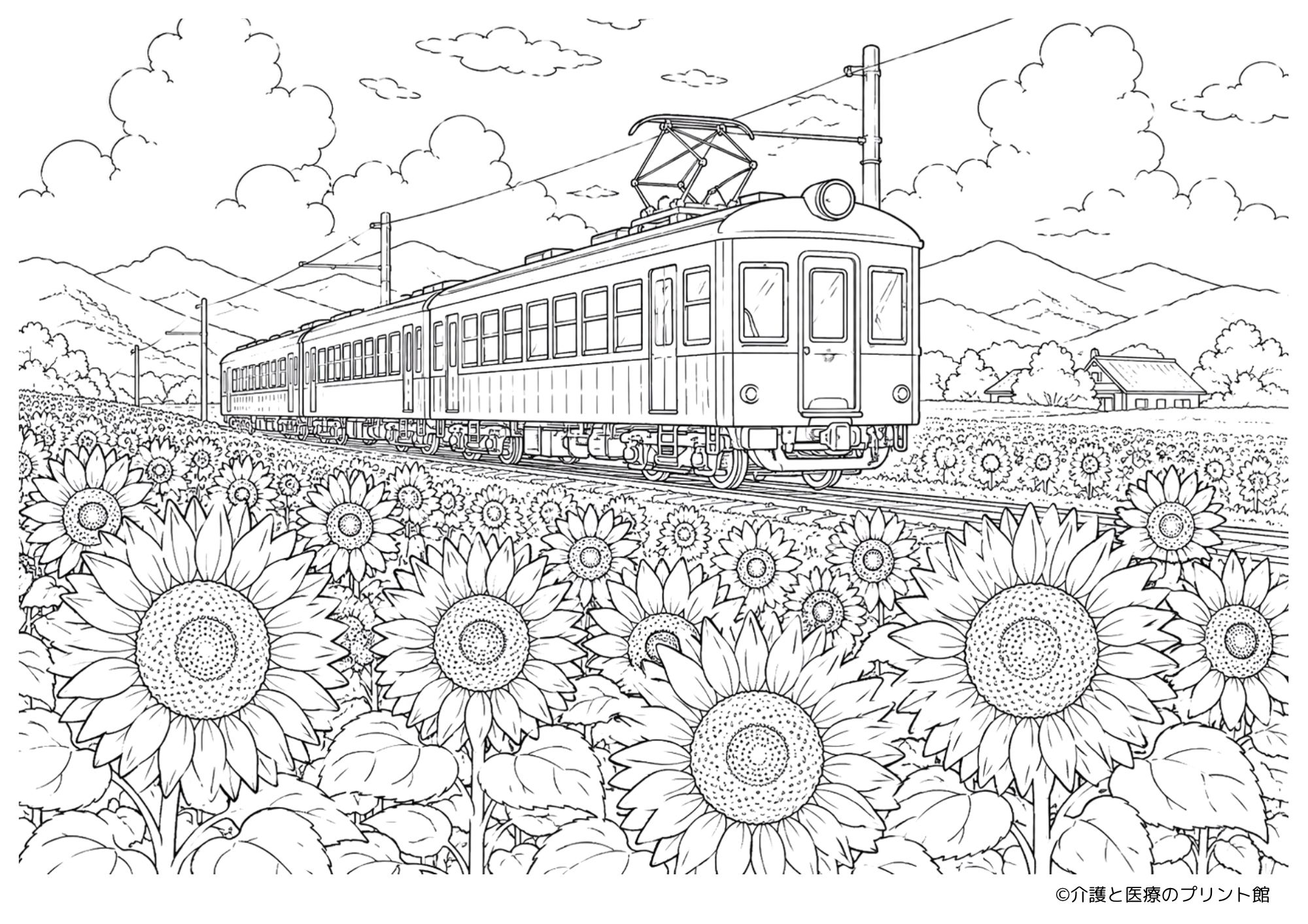 ひまわり畑の中を昔の電車が走る夏の高齢者向け塗り絵