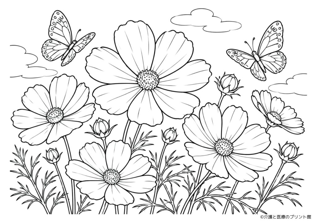 大きなコスモスの花と蝶を描いた簡単な秋の無料塗り絵