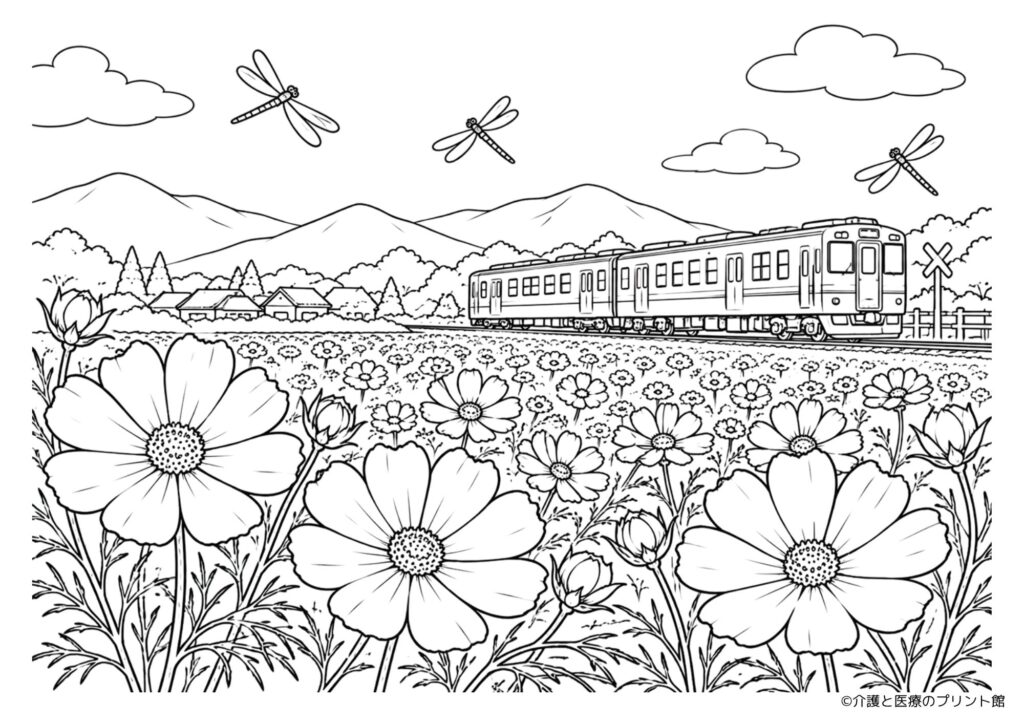 満開のコスモス畑をローカル電車が走る秋の田園風景の無料塗り絵